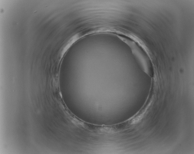 X0000075861097200609221749