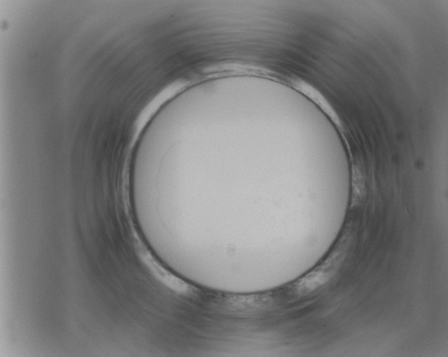 X0000075861098200609221749