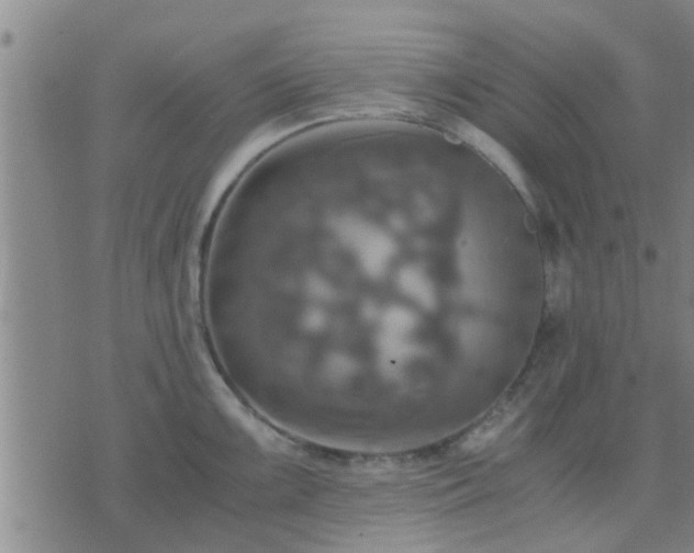 X0000075861099200609221749