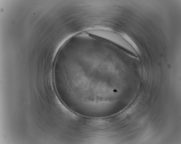 X0000075861100200609221749