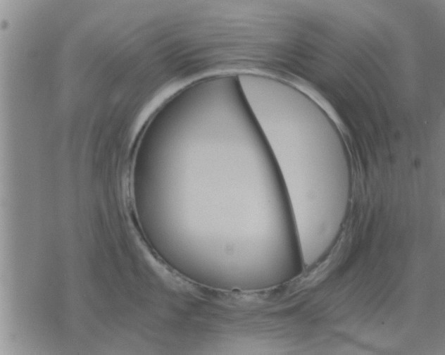 X0000075861101200609221749