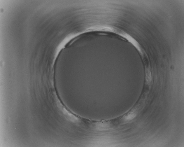 X0000075861102200609221749