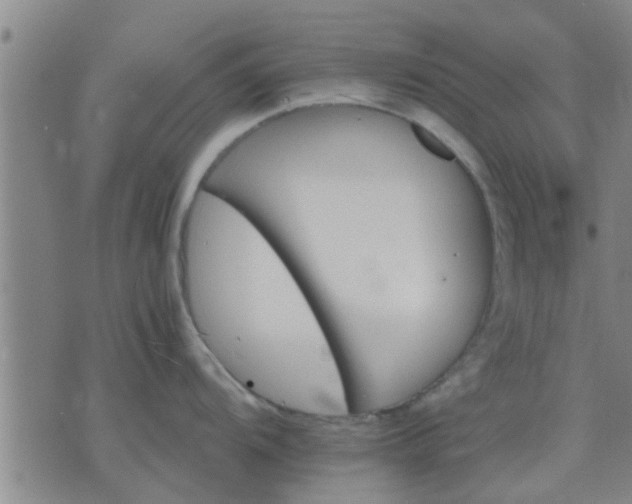 X0000075861104200609221749