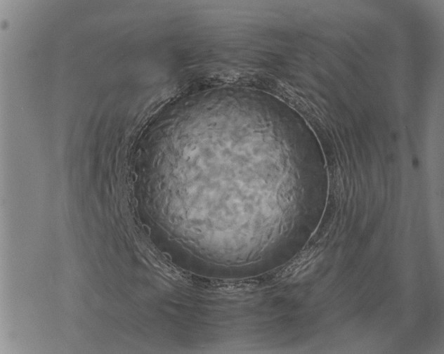 X0000075861105200609221748