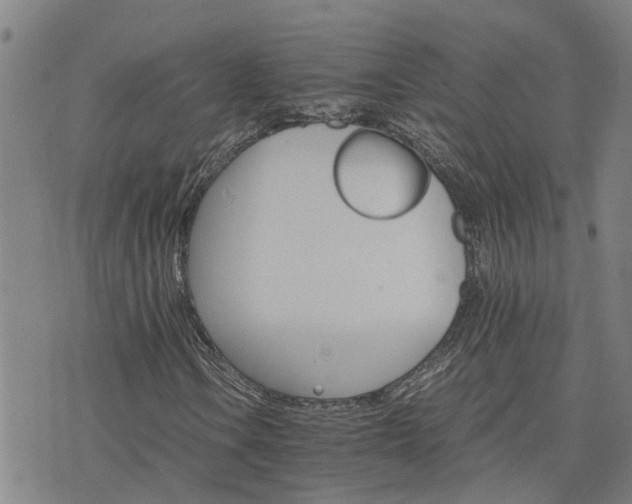 X0000075861106200609221748