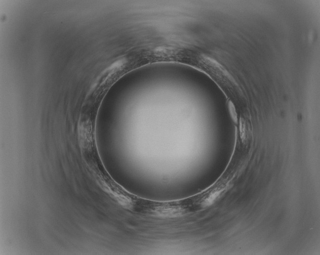 X0000075861107200609221748