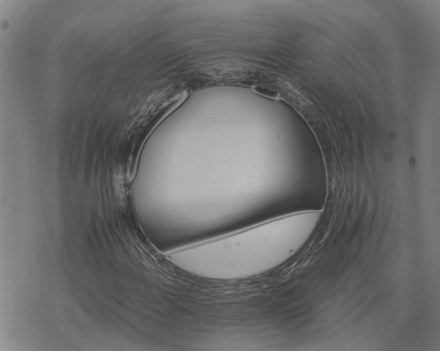 X0000075861108200609221748