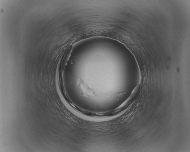 X0000075861109200609221748