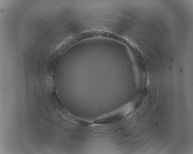 X0000075861110200609221748