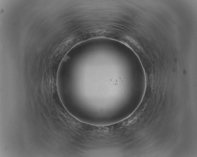 X0000075861111200609221748