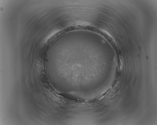 X0000075861112200609221748