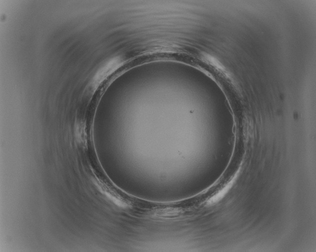 X0000075861113200609221748