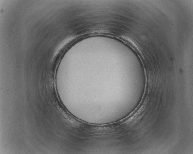 X0000075861115200609221748