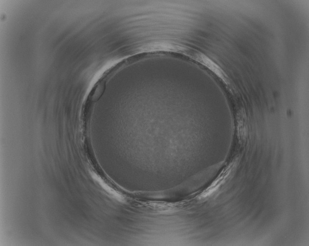 X0000075861116200609221748