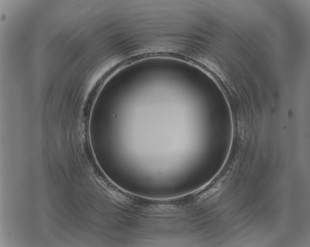 X0000075861119200609221749