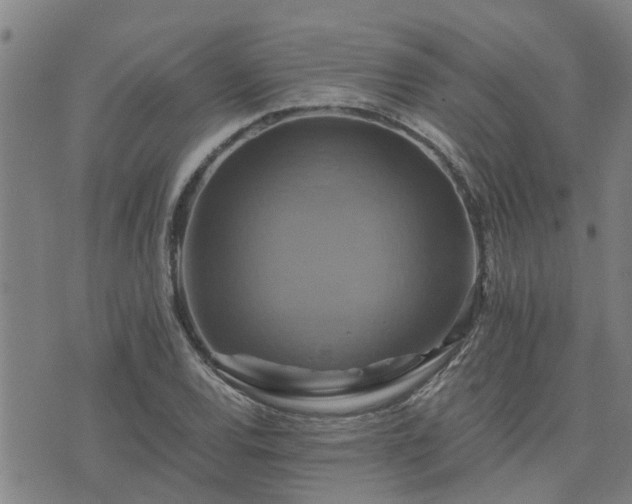 X0000075861120200609221749