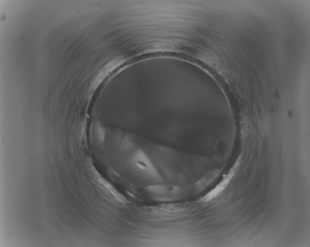 X0000075861121200609221749