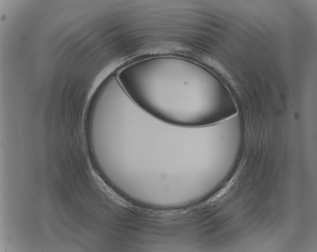 X0000075861122200609221749