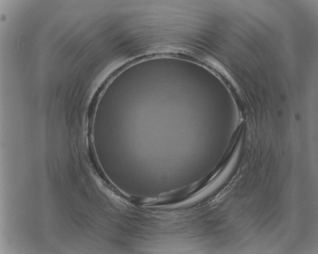 X0000075861124200609221749