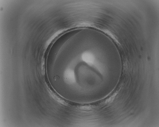 X0000075861126200609221749