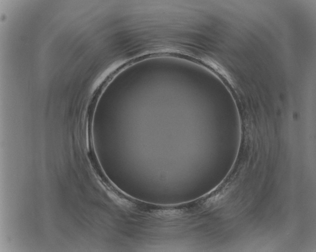 X0000075861127200609221749