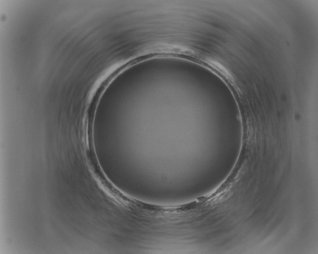 X0000075861128200609221749