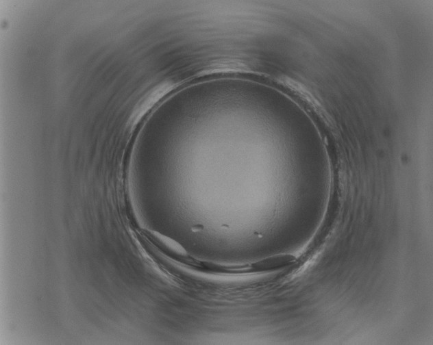 X0000075861129200609221749