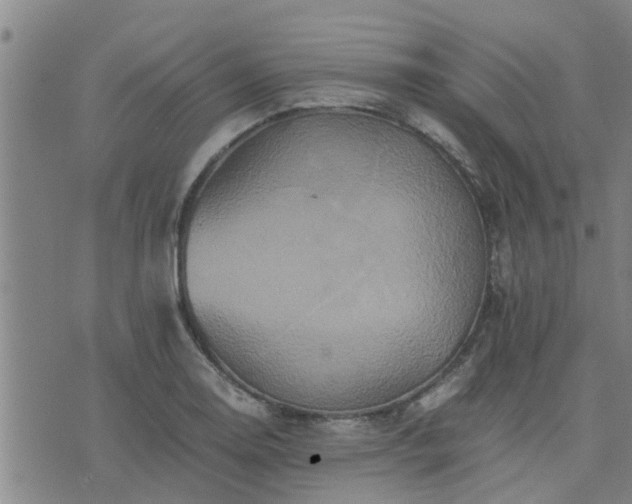 X0000075861130200609221749