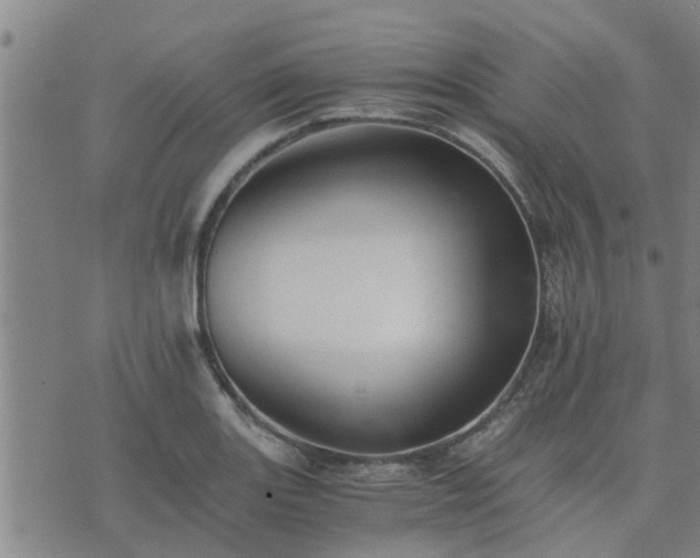 X0000075861131200609221749