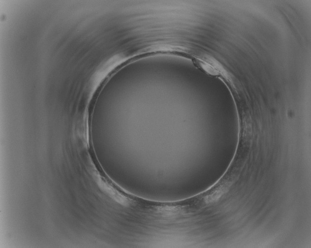 X0000075861132200609221749