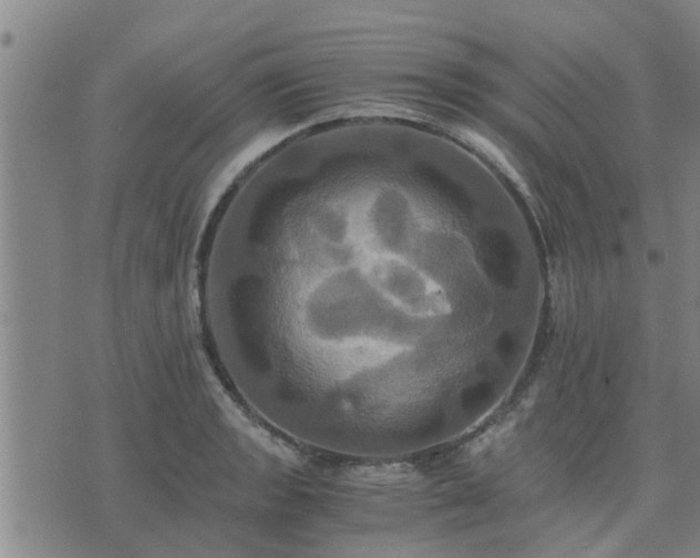 X0000075861133200609221749