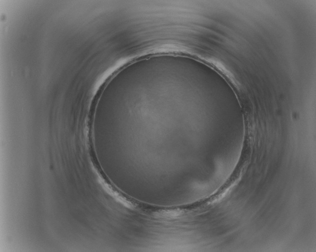 X0000075861134200609221749