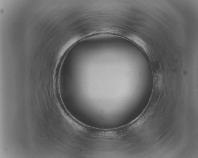 X0000075861135200609221749