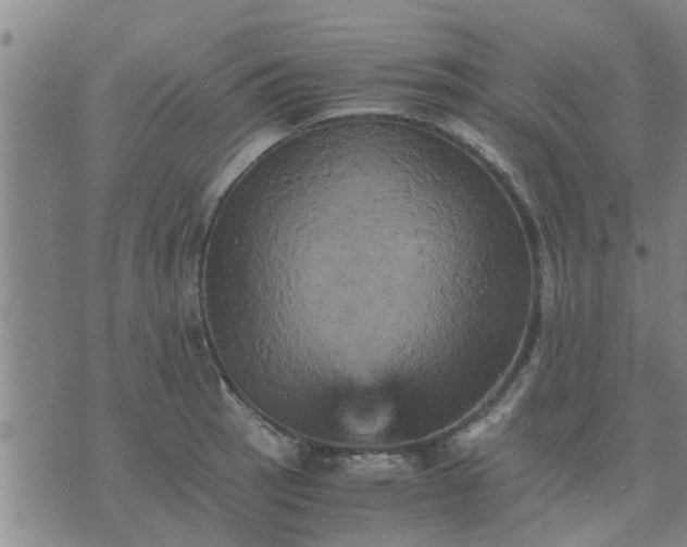 X0000075861137200609221749