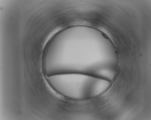 X0000075861139200609221749