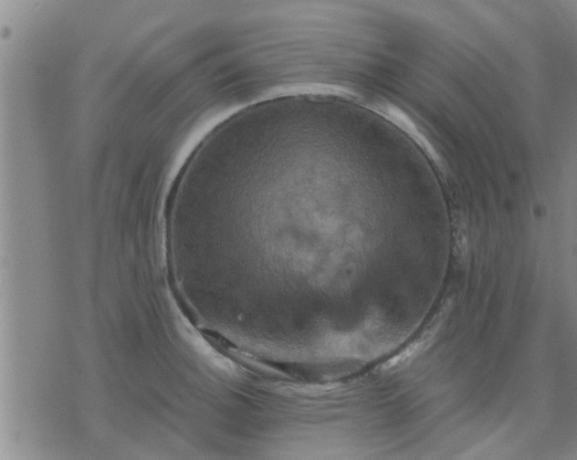 X0000075861140200609221749