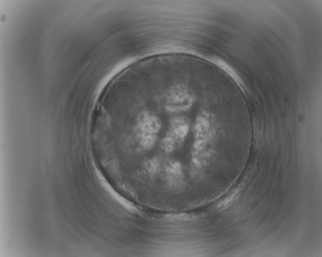 X0000075861142200609221749