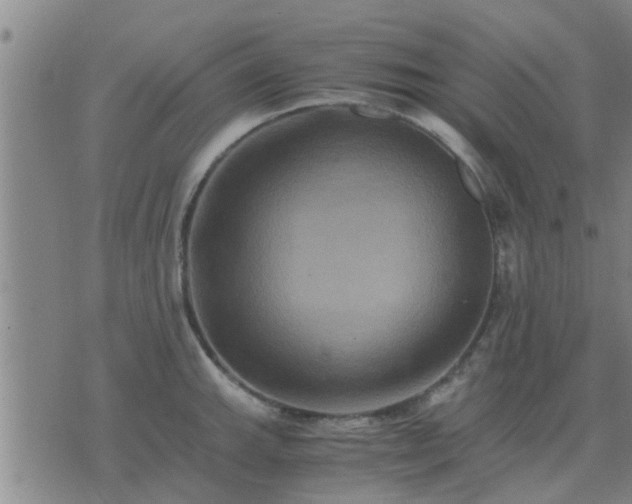 X0000075861143200609221749