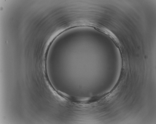 X0000075861144200609221749