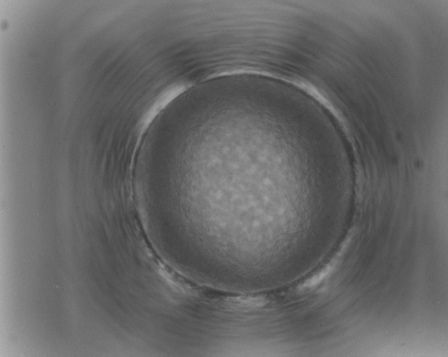 X0000075861145200609221749