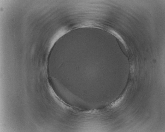 X0000075861146200609221749