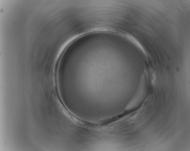 X0000075861148200609221749