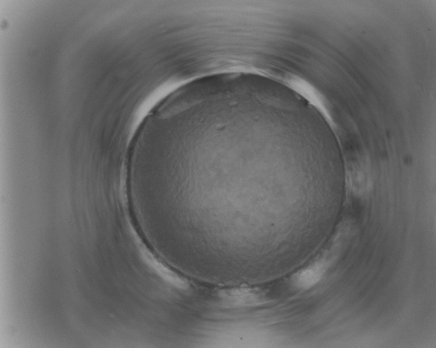 X0000075861149200609221749