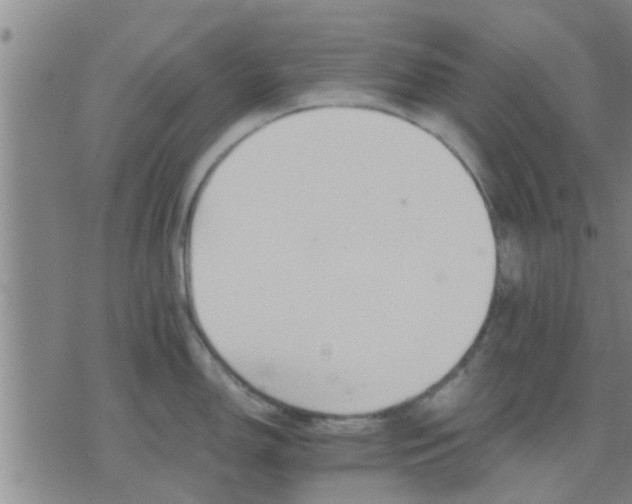 X0000075861150200609221749