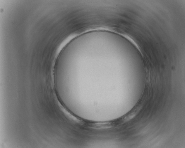 X0000075861151200609221749