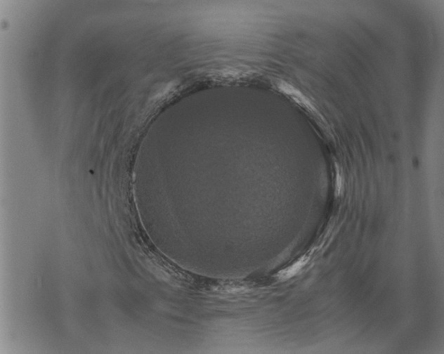 X0000075861153200609221748