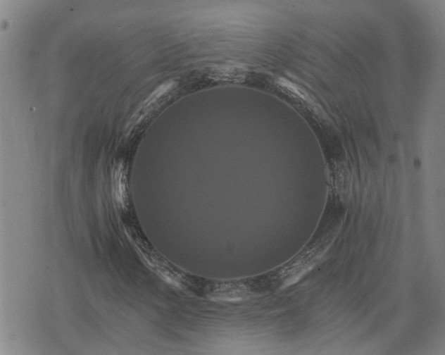 X0000075861154200609221748