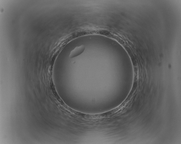 X0000075861157200609221748