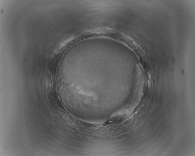 X0000075861158200609221748