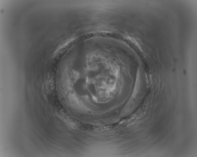 X0000075861159200609221748